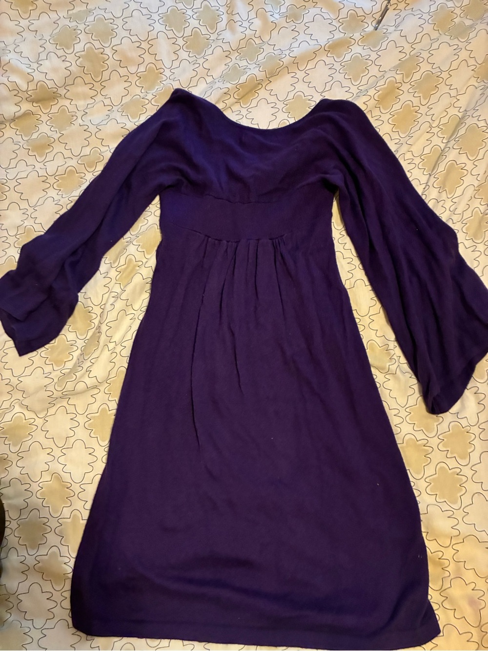 Express Plum Long Sleeve Empire Waist Dress